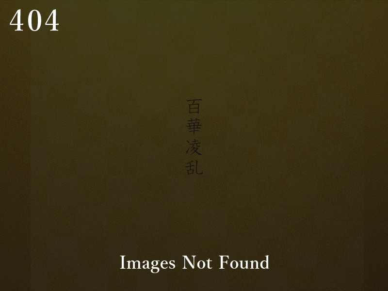 画像が見つかりません